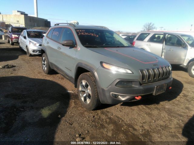 JEEP CHEROKEE 2014 1c4pjmbs5ew180176