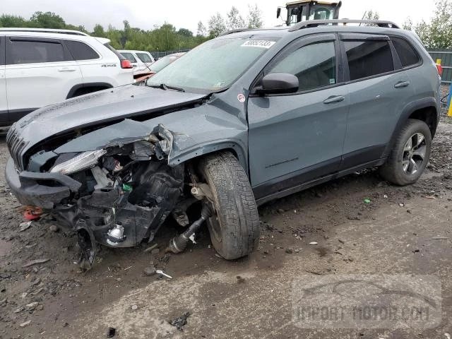 JEEP CHEROKEE 2014 1c4pjmbs6ew134839