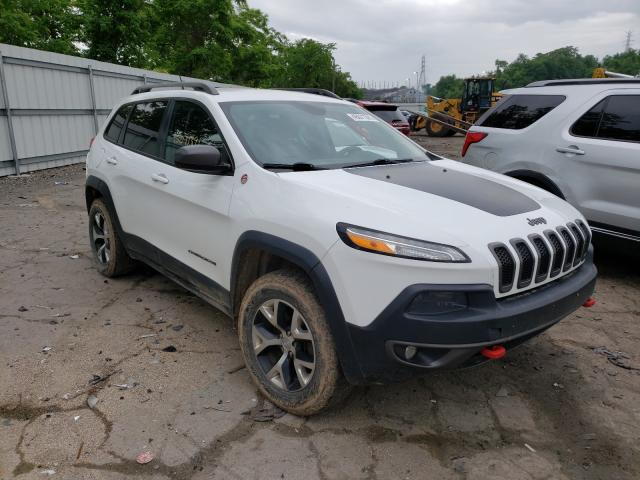 JEEP CHEROKEE T 2014 1c4pjmbs6ew211323