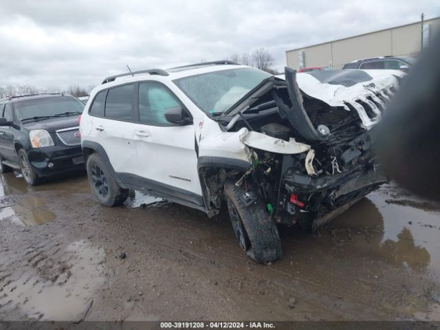 JEEP CHEROKEE 2015 1c4pjmbs6fw604367