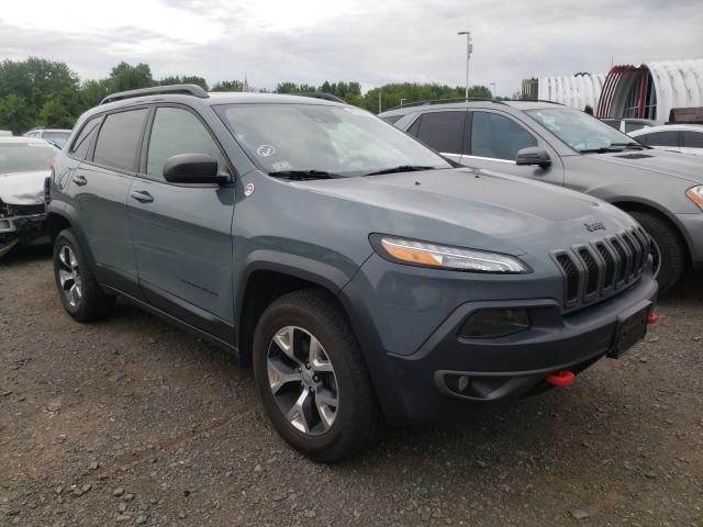 JEEP CHEROKEE T 2014 1c4pjmbs7ew161466