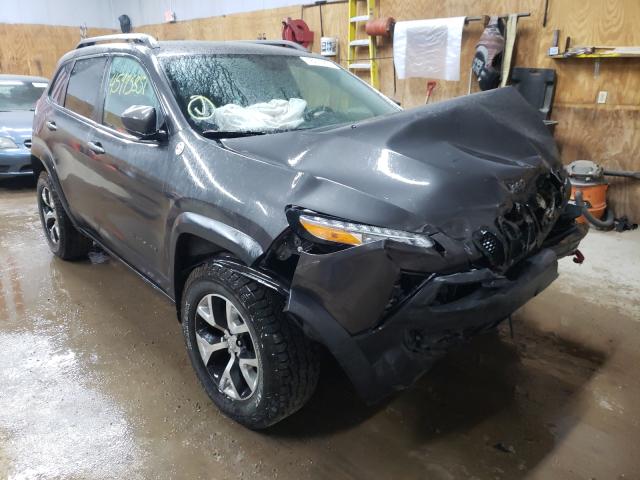 JEEP CHEROKEE T 2014 1c4pjmbs8ew277131