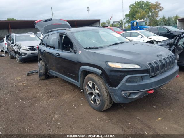 JEEP CHEROKEE 2016 1c4pjmbs8gw214887