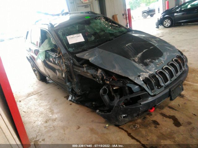 JEEP CHEROKEE 2014 1c4pjmbsxew134617