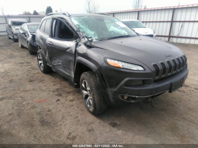 JEEP CHEROKEE 2014 1c4pjmbsxew137713