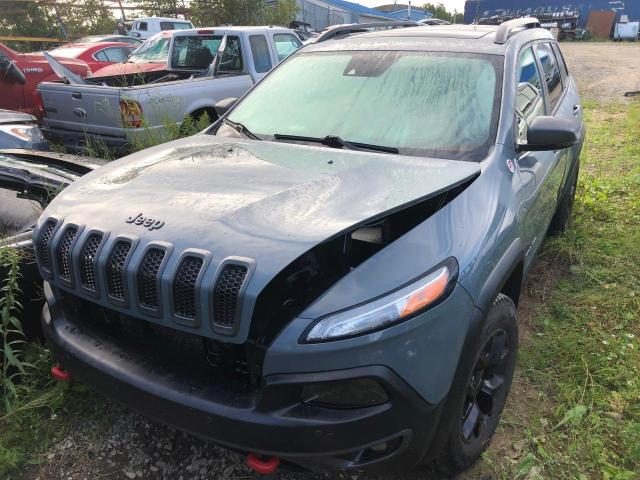 JEEP CHEROKEE 2014 1c4pjmbsxew164491