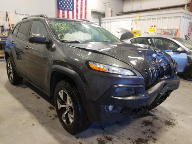 JEEP CHEROKEE 2014 1c4pjmbsxew286249