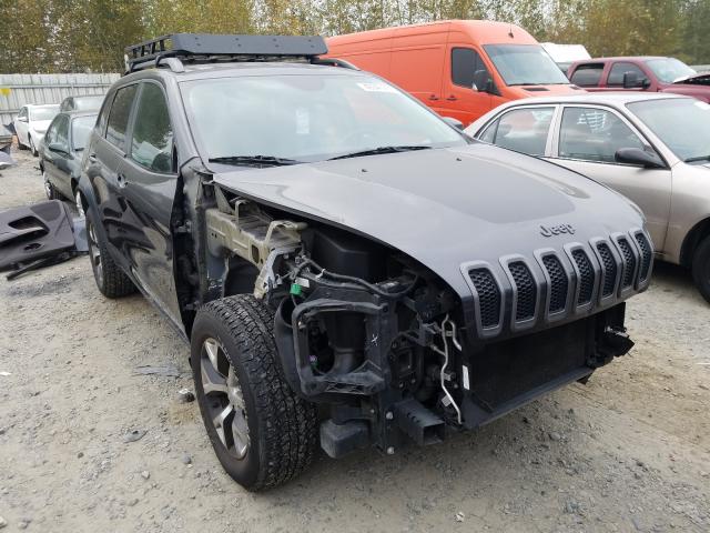 JEEP CHEROKEE T 2015 1c4pjmbsxfw537899