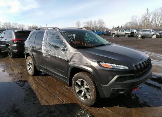 JEEP CHEROKEE 2017 1c4pjmbsxhw665479