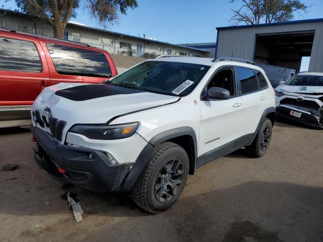 JEEP CHEROKEE 2019 1c4pjmbx0kd106117