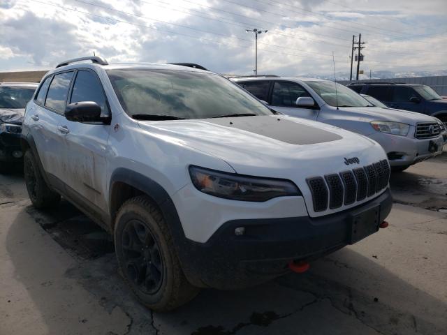 JEEP CHEROKEE T 2019 1c4pjmbx0kd113164