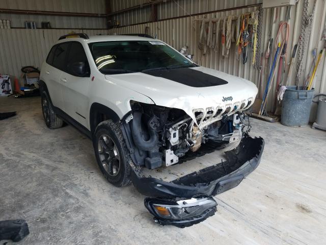 JEEP CHEROKEE T 2019 1c4pjmbx0kd126982