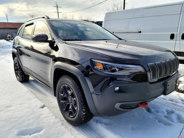 JEEP CHEROKEE T 2019 1c4pjmbx0kd211398