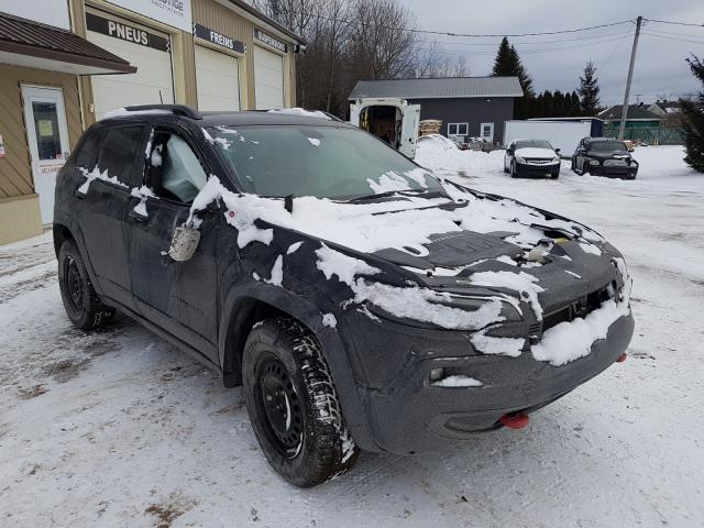 JEEP CHEROKEE T 2019 1c4pjmbx0kd271973