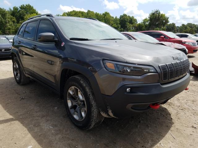 JEEP CHEROKEE T 2019 1c4pjmbx0kd306723