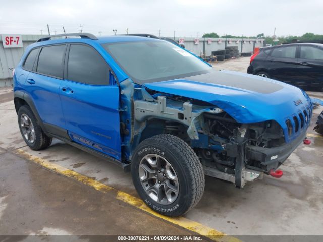 JEEP CHEROKEE 2019 1c4pjmbx0kd376304