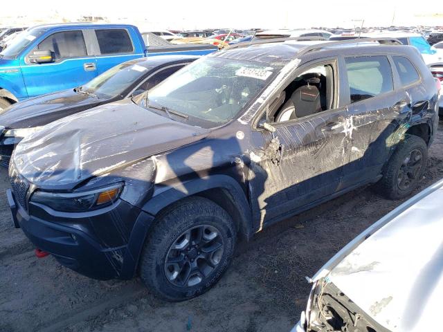 JEEP CHEROKEE 2019 1c4pjmbx0kd398691