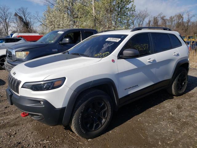 JEEP CHEROKEE T 2019 1c4pjmbx0kd457402