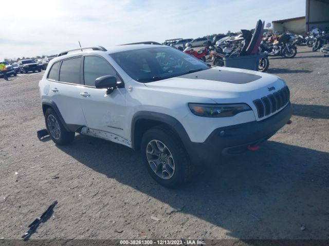 JEEP CHEROKEE 2020 1c4pjmbx0ld517678