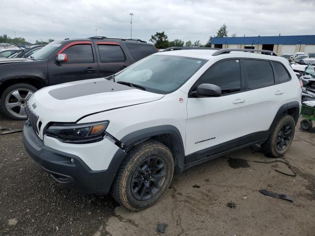 JEEP CHEROKEE T 2020 1c4pjmbx0ld647136