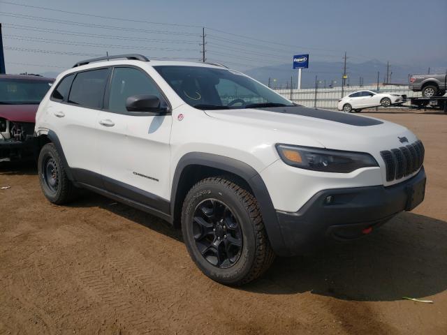 JEEP CHEROKEE T 2019 1c4pjmbx1kd105106