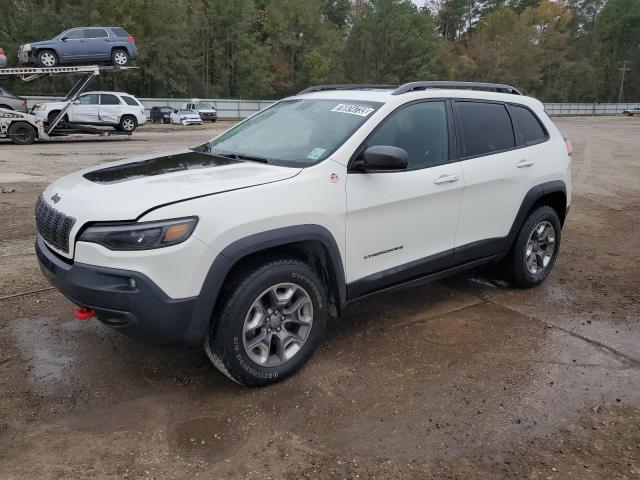 JEEP CHEROKEE 2019 1c4pjmbx1kd185734