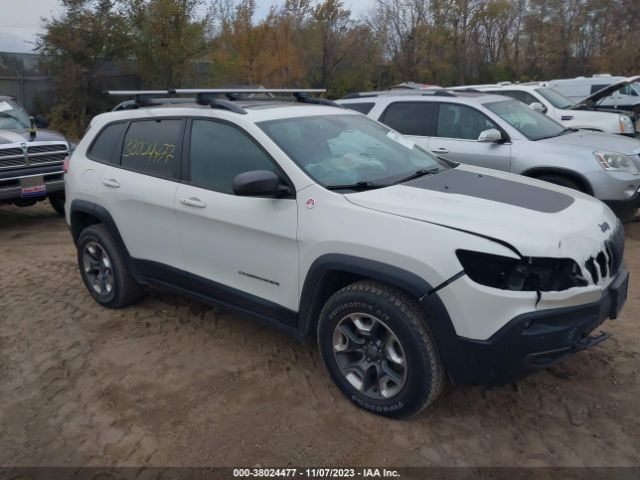 JEEP CHEROKEE 2019 1c4pjmbx1kd200104