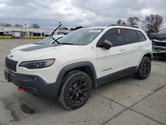 JEEP CHEROKEE 2019 1c4pjmbx1kd245303