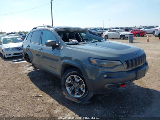 JEEP CHEROKEE 2019 1c4pjmbx1kd352027