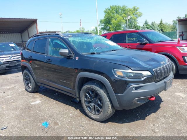 JEEP CHEROKEE 2019 1c4pjmbx1kd369670