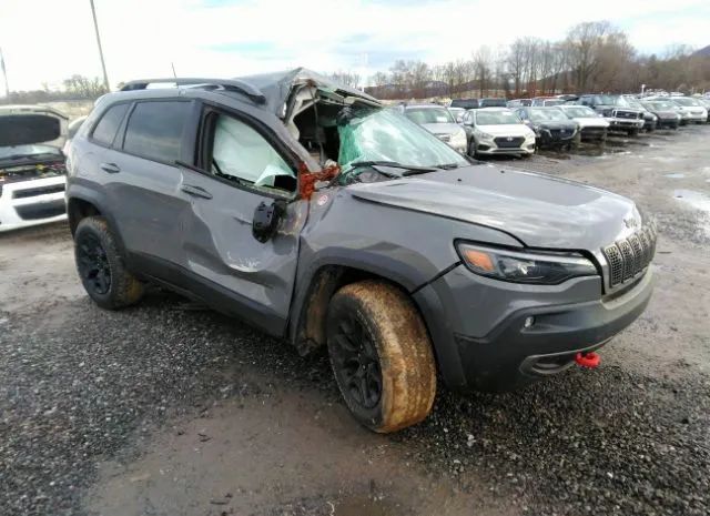 JEEP CHEROKEE 2019 1c4pjmbx1kd397906