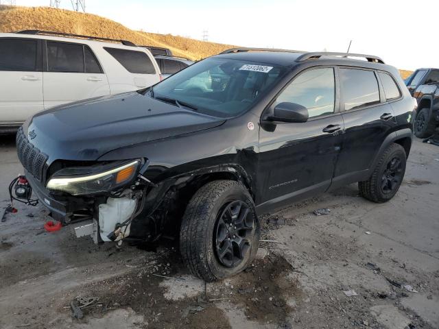 JEEP CHEROKEE 2019 1c4pjmbx1kd454752