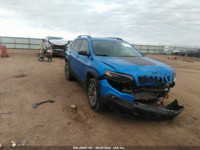 JEEP CHEROKEE 2021 1c4pjmbx1md165888