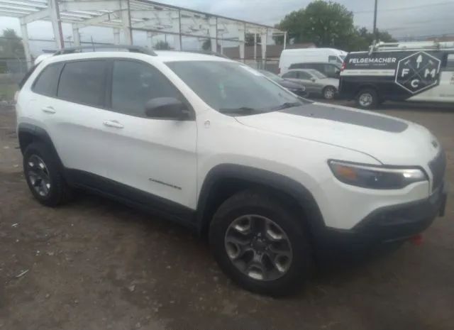 JEEP CHEROKEE 2019 1c4pjmbx2kd113568