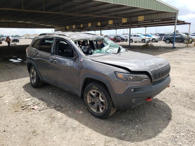 JEEP CHEROKEE T 2019 1c4pjmbx2kd236822