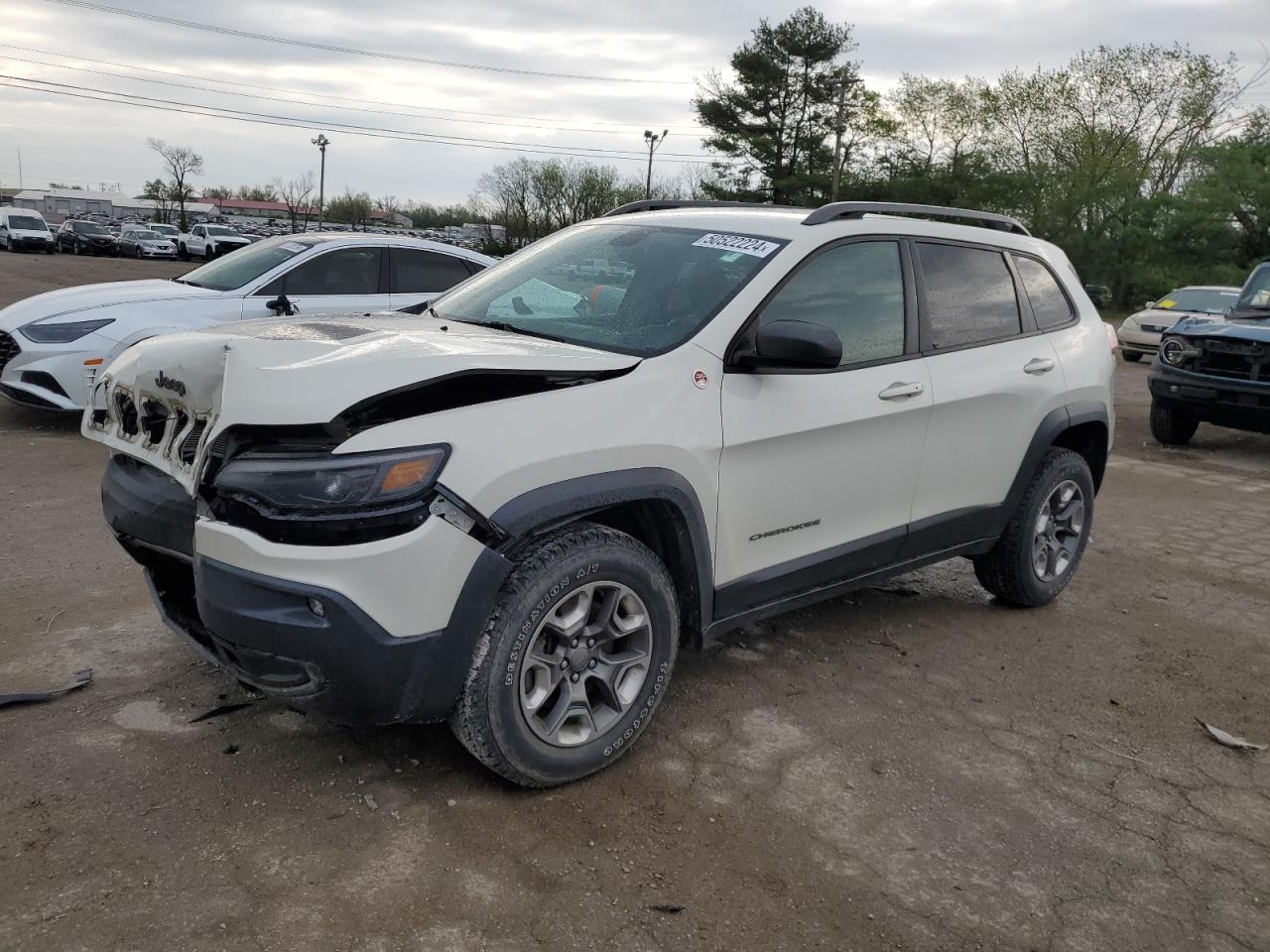 JEEP CHEROKEE 2019 1c4pjmbx2kd314077