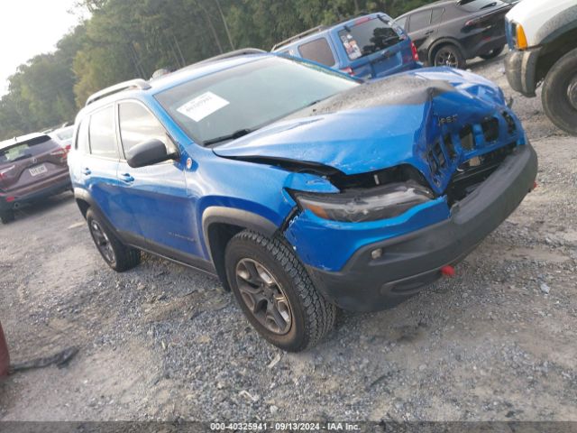 JEEP CHEROKEE 2019 1c4pjmbx2kd338153