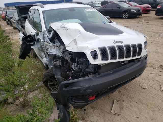 JEEP CHEROKEE T 2020 1c4pjmbx2ld517679