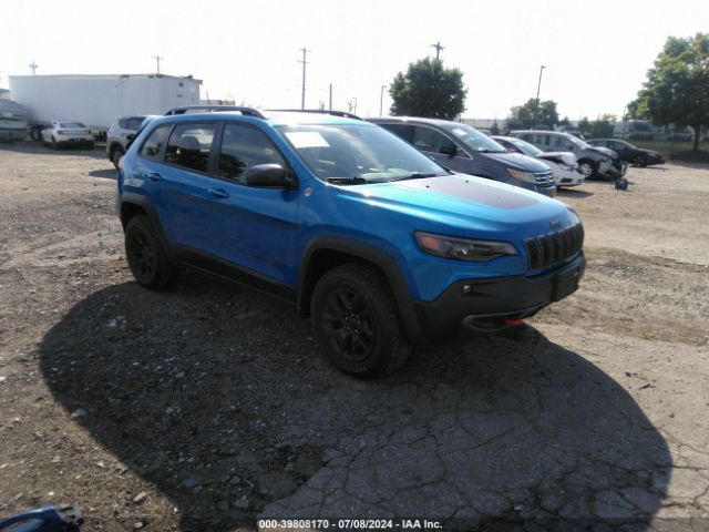 JEEP CHEROKEE 2020 1c4pjmbx2ld576554