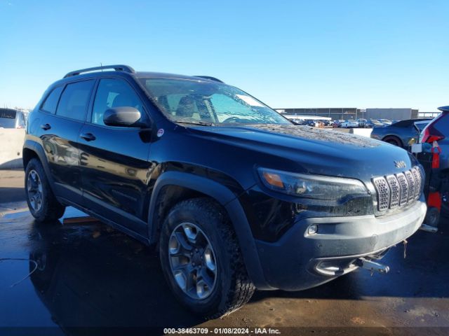 JEEP CHEROKEE 2019 1c4pjmbx3kd217485