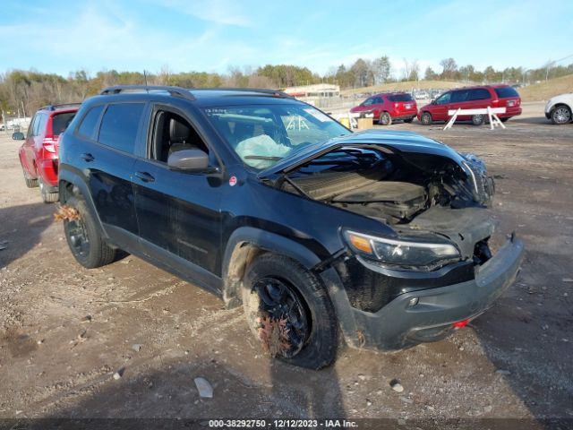 JEEP CHEROKEE 2019 1c4pjmbx3kd238210