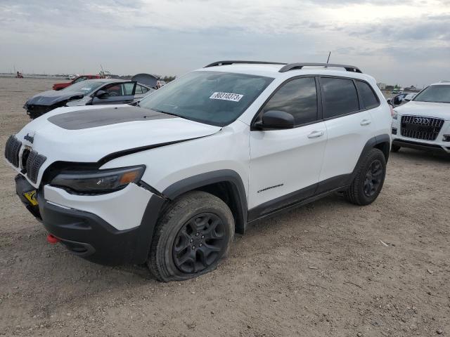 JEEP CHEROKEE 2019 1c4pjmbx3kd288217