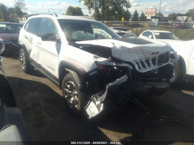 JEEP CHEROKEE 2020 1c4pjmbx3ld566003