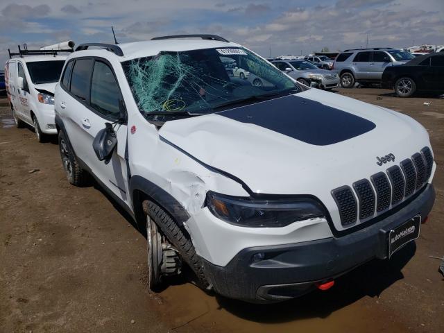 JEEP CHEROKEE T 2020 1c4pjmbx3ld602823