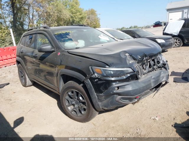 JEEP CHEROKEE 2019 1c4pjmbx4kd189616