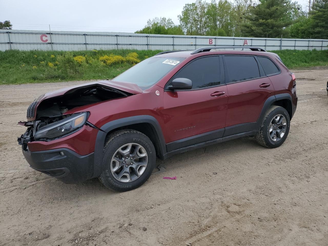 JEEP CHEROKEE 2019 1c4pjmbx5kd183369