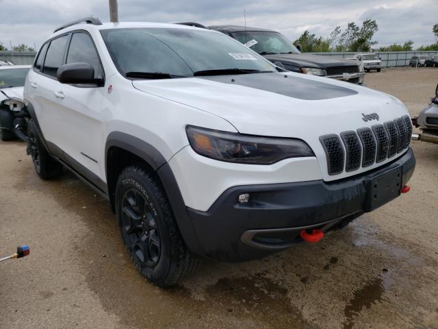 JEEP CHEROKEE T 2019 1c4pjmbx5kd349082