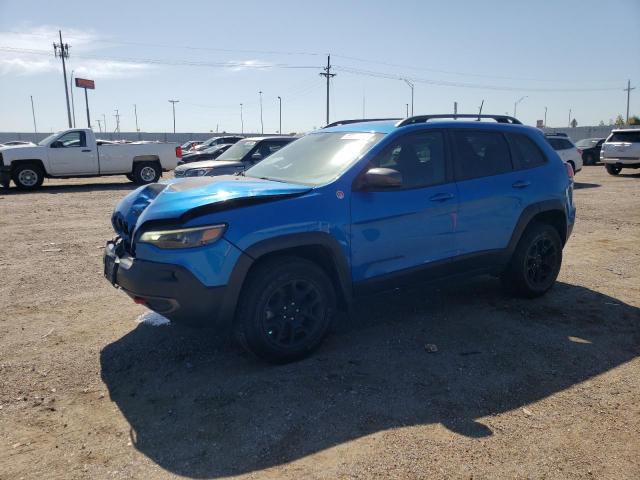 JEEP CHEROKEE 2019 1c4pjmbx5ld579528