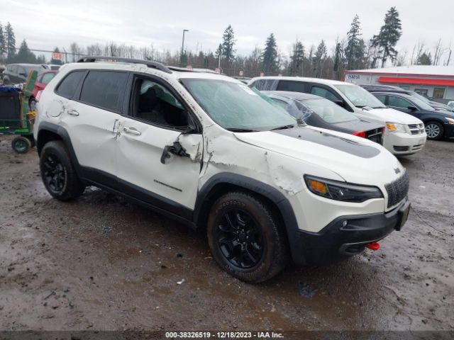 JEEP CHEROKEE 2019 1c4pjmbx6kd124492