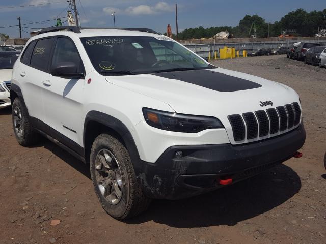 JEEP CHEROKEE T 2019 1c4pjmbx6kd298420